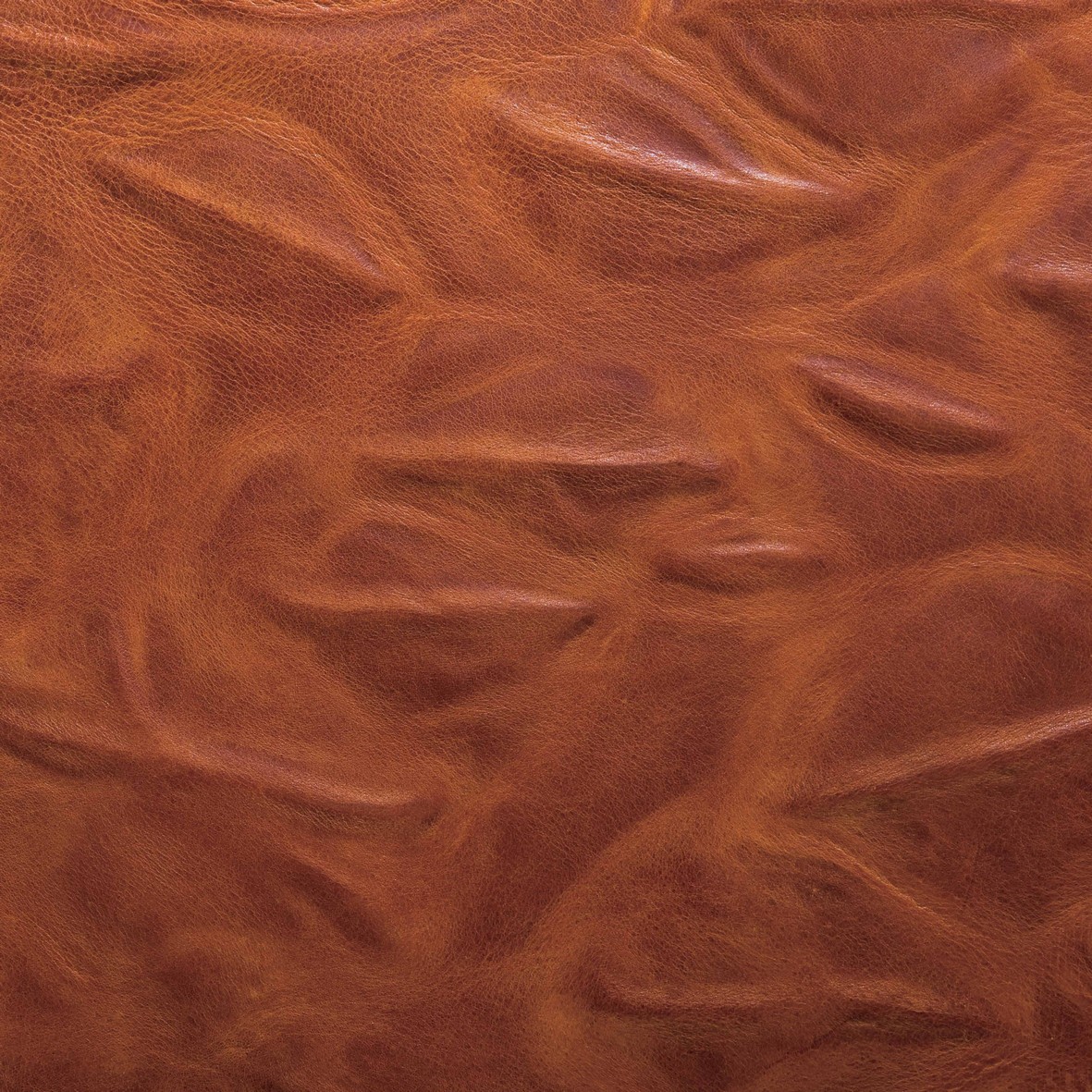 Pelle piega© Oliviero Toscani-La Sterpaia - HAND MADE ITALY (6) Pelle piega© Oliviero Toscani-La Sterpaia - HAND MADE ITALY (6)